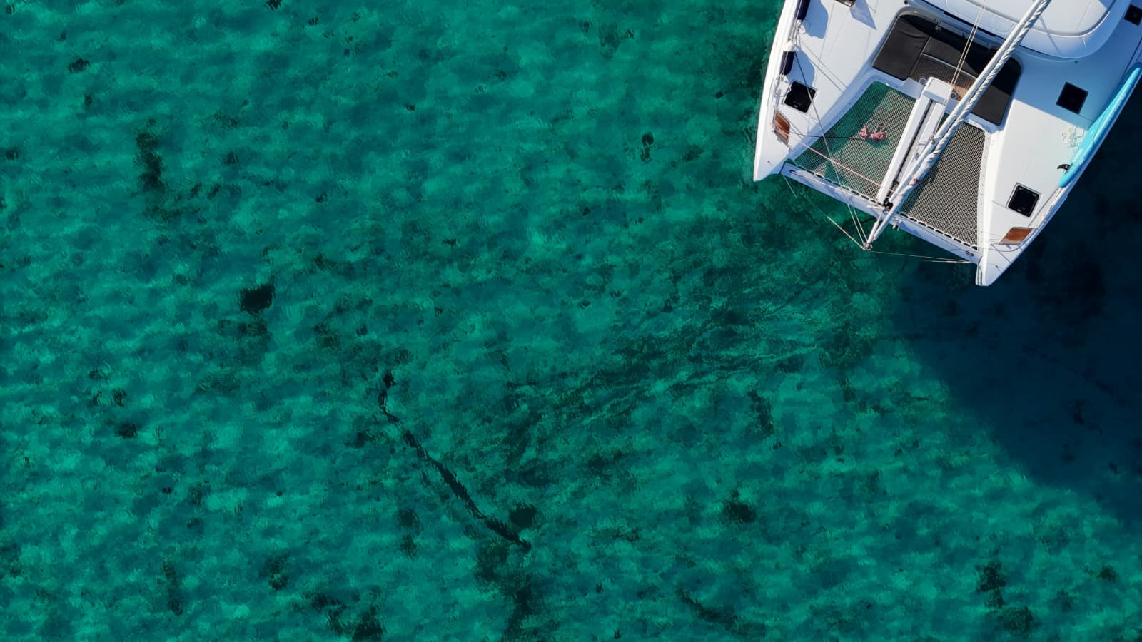 Excursión en catamarán por aguas turquesas